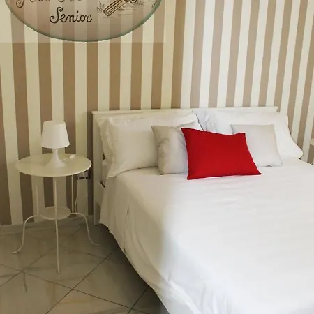 Guest house Domus Albert Senior *