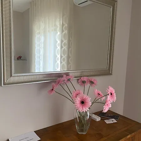 Guest house Domus Albert Senior