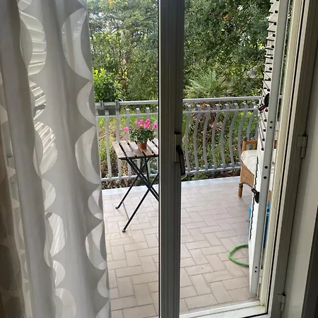 Guest house Domus Albert Senior *