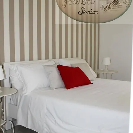 Domus Senior
